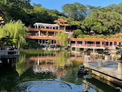 -深圳仙湖植物园