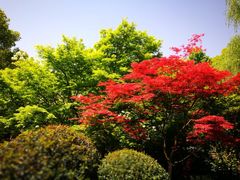 -共青国家森林公园-售票处