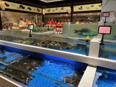 -渔人码头(中南店)