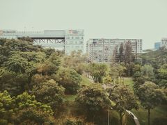 -新加坡柏薇罗切斯特酒店