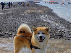 -锦州笔架山风景区