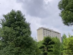 -九科绿洲