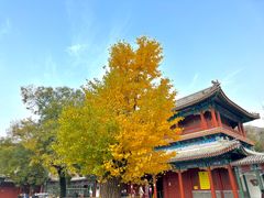 -潭柘寺景区