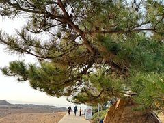 -青岛第二海水浴场