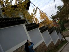 -大罗山风景区