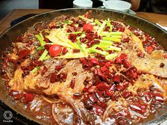 -老板恋上鱼(印象城店)