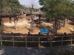 -石家庄市动物园