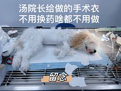 -良伴无忧宠物医院(泰欣嘉园店)