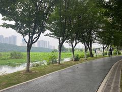 -月湖风景区