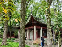 -天一阁博物院