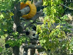 -大连森林动物园