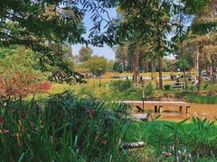 -铁山坪森林公园