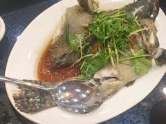 -天天海鲜城·海鲜大排档(新溪店)