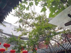 -张家大院·鲁菜·私房菜(芙蓉街店)