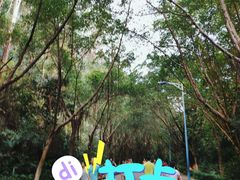 -滴水岩森林公园