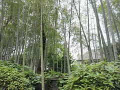 -池州市平天湖风景区