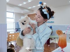 -汪说·狗咖·拼豆·宠物周边DIY(旺城大厦店)