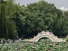 -莲池书院博物馆