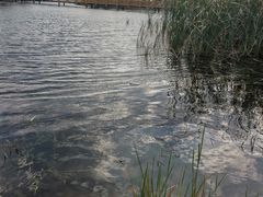 -呈贡滇池生态湿地公园