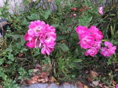 -无锡市市民中心