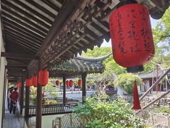 -上海醉白池公园