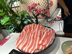 -超级胡毛肚火锅(茶子山中路店)