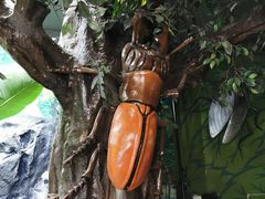 -上海大自然野生昆虫馆(东方明珠·爬宠昆虫探索中心)