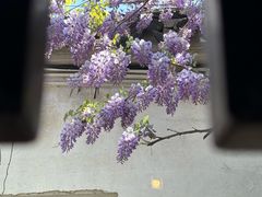 -沧浪亭