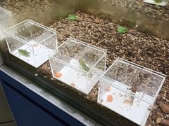 -上海昆虫博物馆