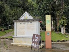 -莫里热带雨林景区