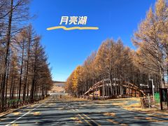 -塞罕坝国家级自然保护区