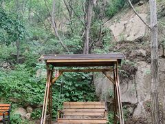 -大岭沟猕猴桃谷风景区