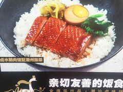 -MR鹅外