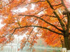 -东湖落雁景区