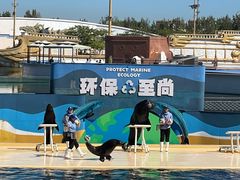 -秦皇岛乐岛海洋王国