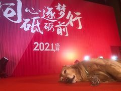 -上海崇明金茂凯悦酒店