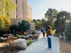 -上海崇明金茂凯悦酒店