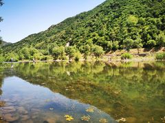 -白河湾生态旅游一条川