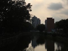 -晓港公园