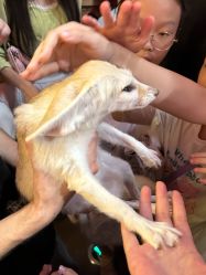 -Zoolung Zoolung动物主题公园(海信广场店)