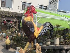 -头上红煨盐鸡乡村食府