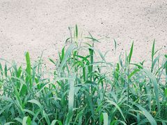 -碓臼峪自然风景区