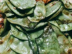 -徐记海鲜(曲江南湖店)