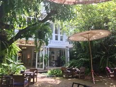 -Fern Forest Cafe