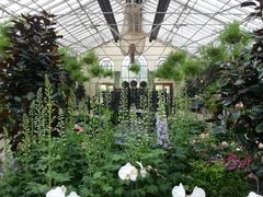 -墨尔本皇家植物园