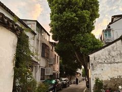 -姑苏家宴·苏帮菜·松鼠桂鱼(苏州总店)