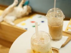 -滚猫咖啡·猫咖·猫友好撸猫(未来城店)