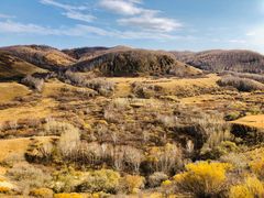 -塞罕坝国家级自然保护区