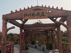 -霞山观海长廊
