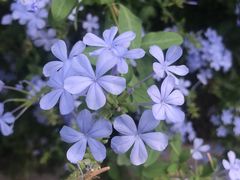 -奥林匹亚宙斯神庙